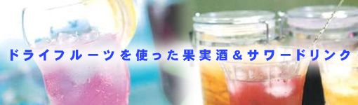 �h���C�t���[�c���g�����ʎ������T���[�h�����N���V�s