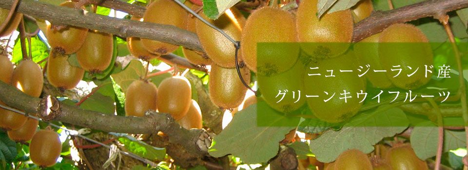 グリーンキウイ