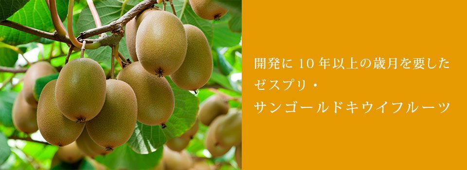 サンゴールドキウイ