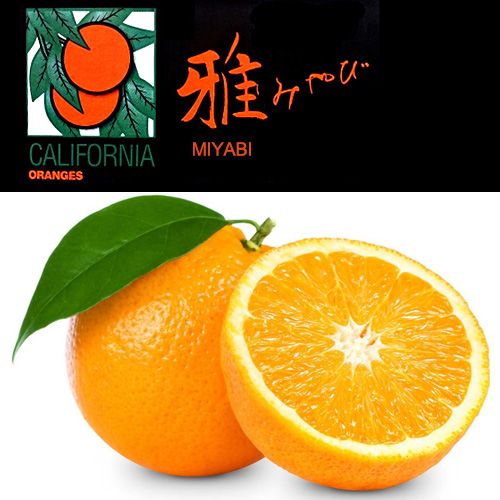 カリフォルニア産ネーブルオレンジ