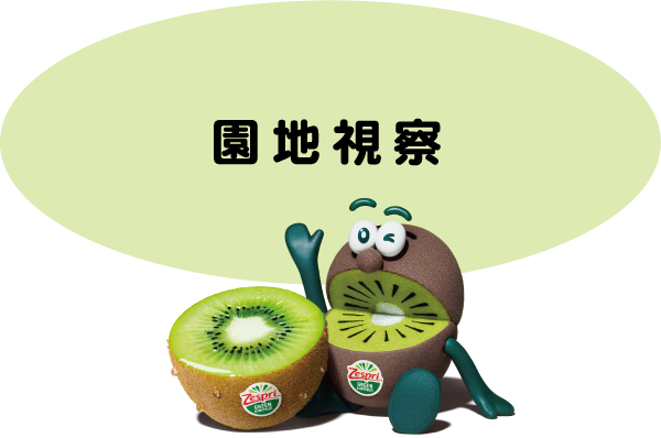 園地視察