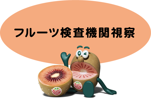 フルーツ検査機関視察