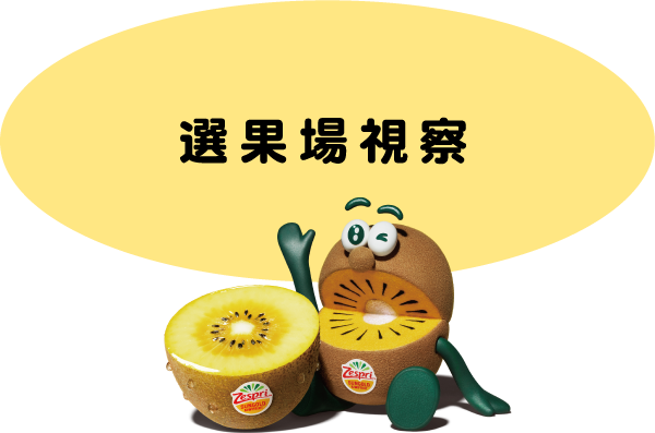 選果場視察