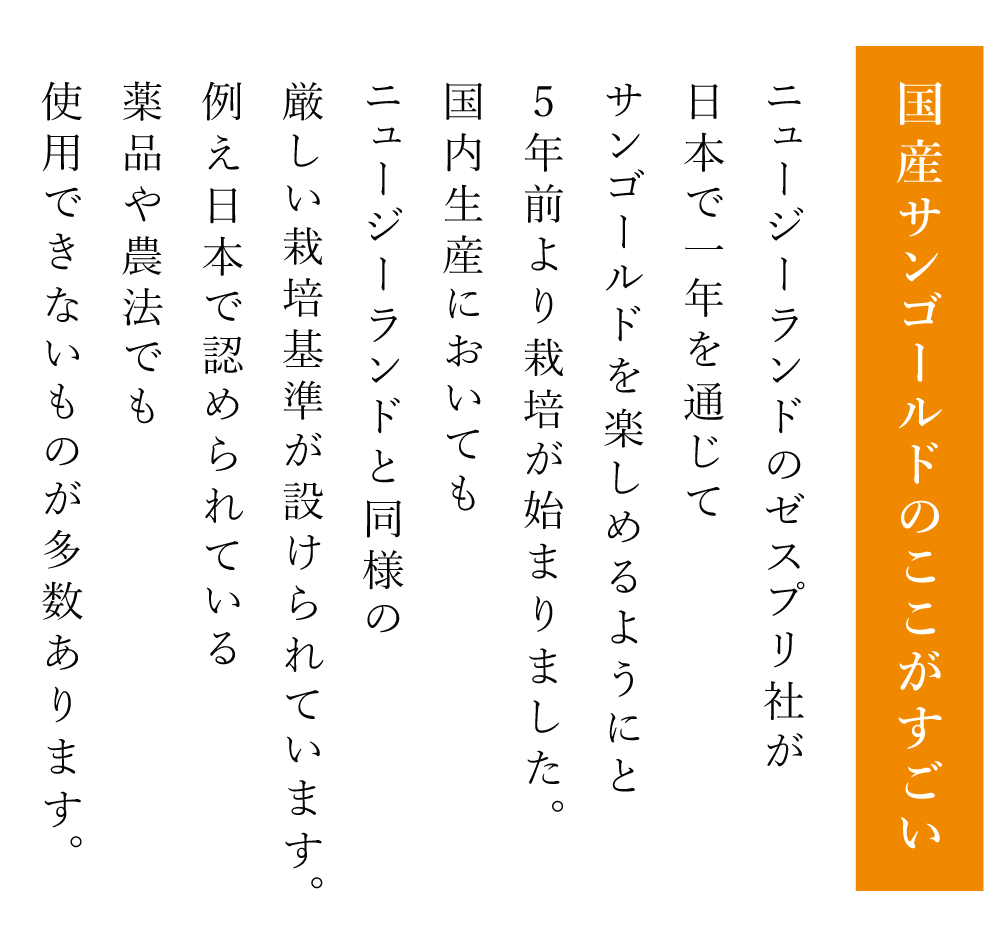 国産サンゴールドのここがすごい