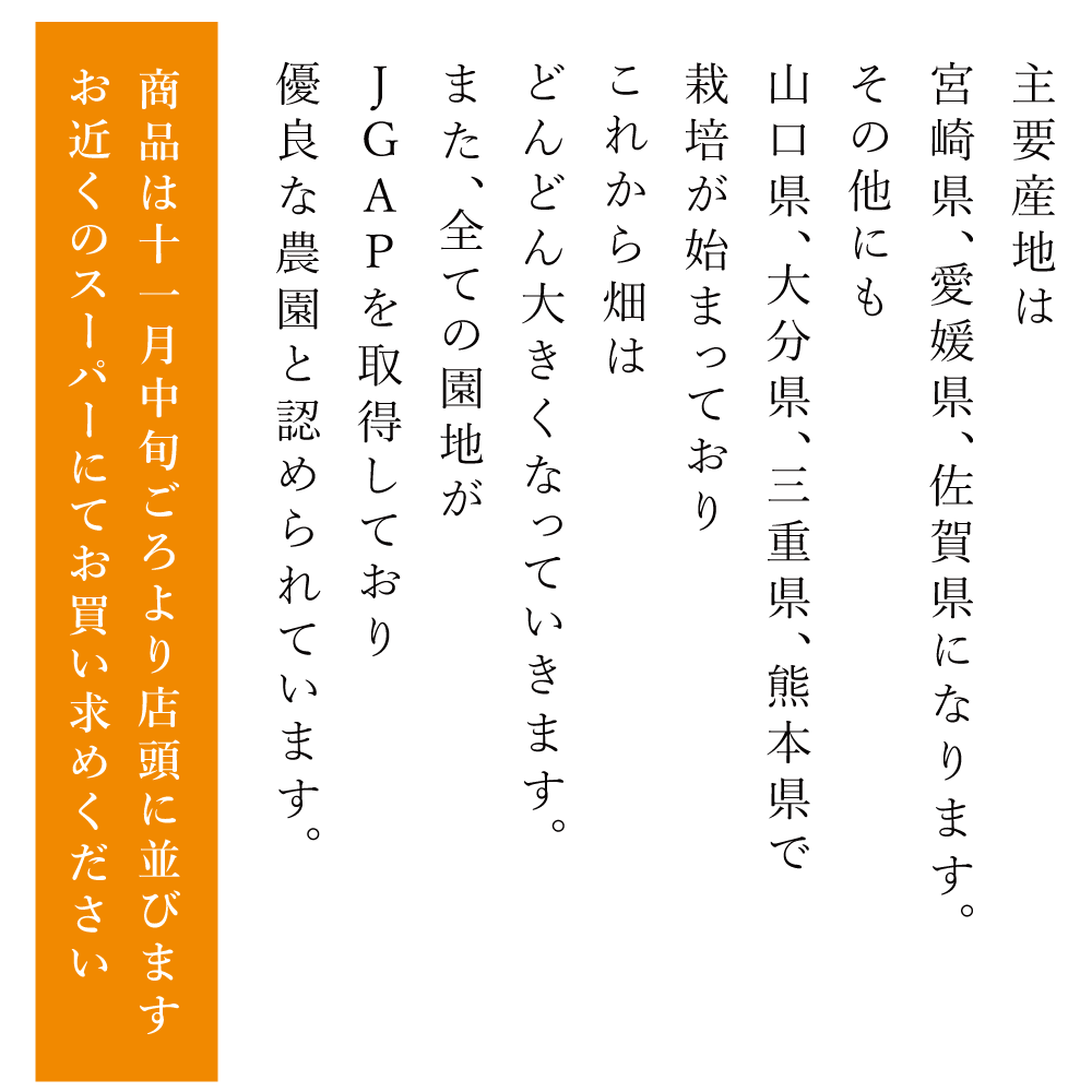 11月中旬からスーパーマーケットで販売します