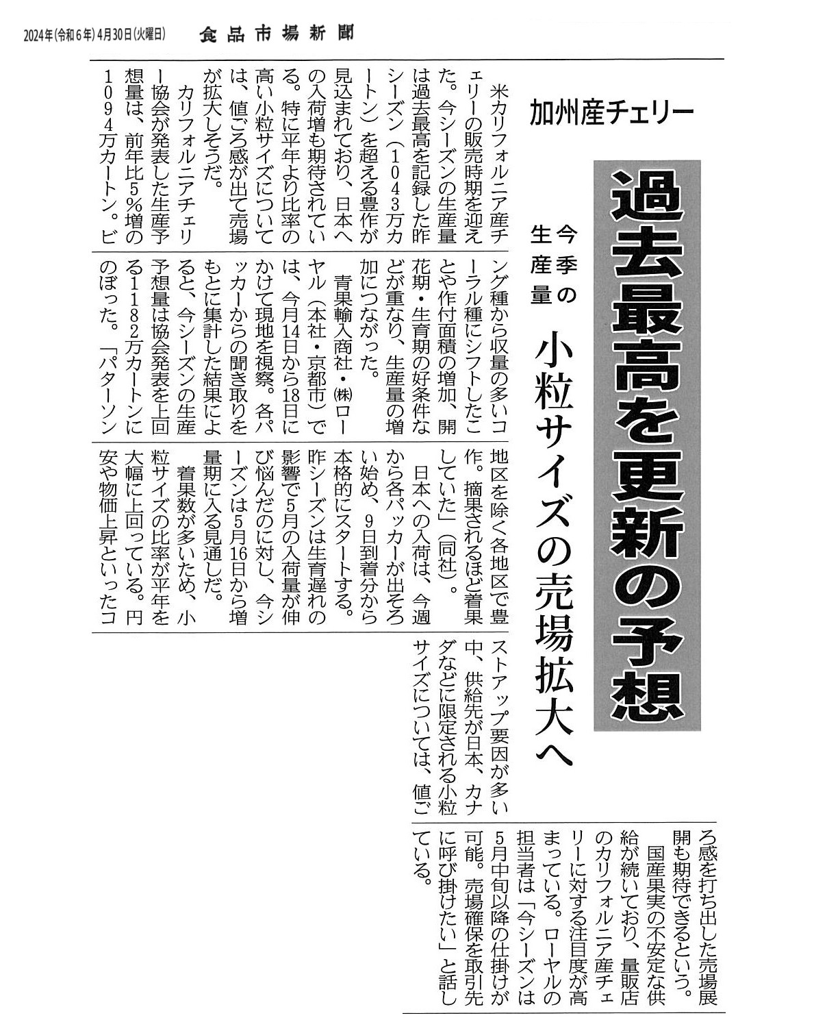 チリ産チェリー