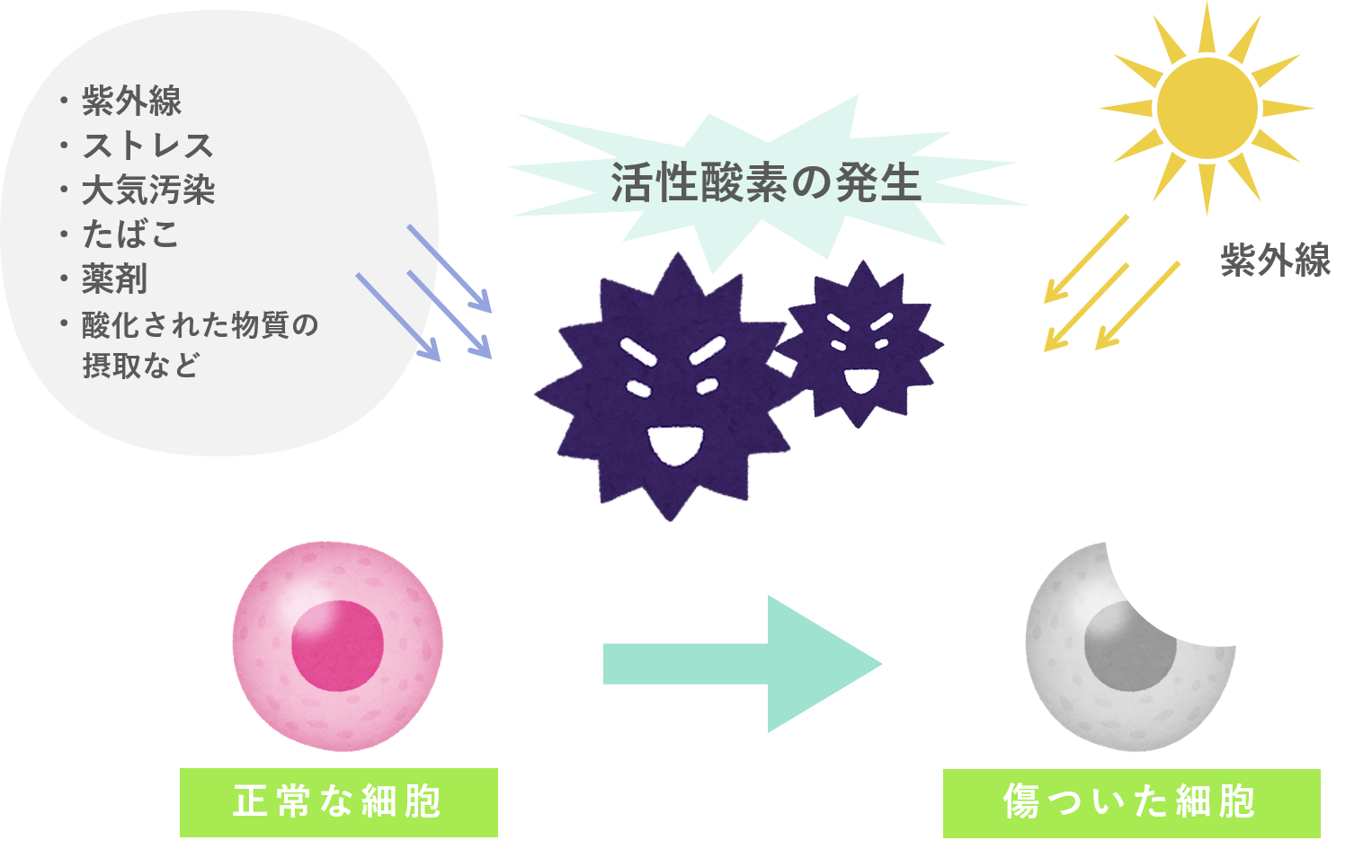 活性酸素発生
