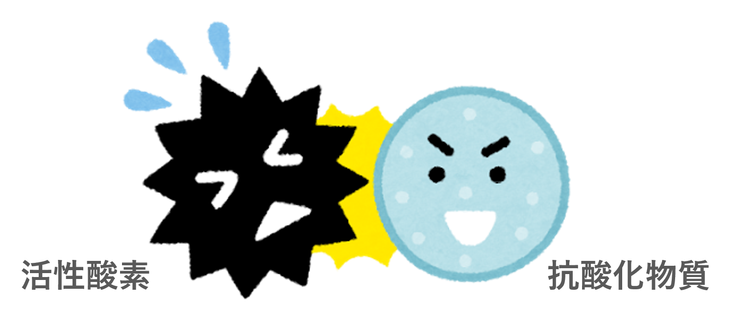 抗酸化物質