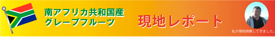 南アフリカ産グレープフルーツ現地レポート