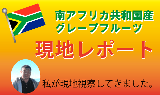 南アフリカ産グレープフルーツ現地レポート